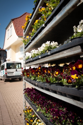 Blumenladen in Schömberg - Blumenlädle Öhlschläger