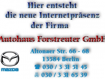 http://autohaus-forstreuter-gmbh.de