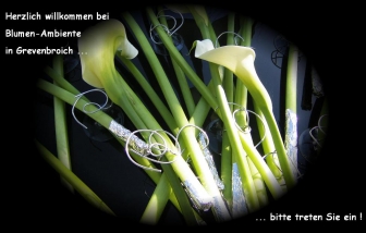 http://blumen-ambiente-grevenbroich.de