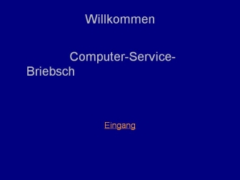 http://computer-service-briebsch.de