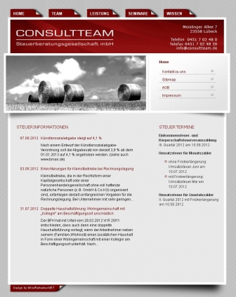 http://consultteam.de