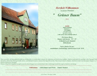 http://gruener-baum-saalfeld.de