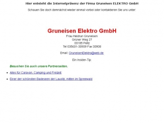 http://gruneisen-elektro.de