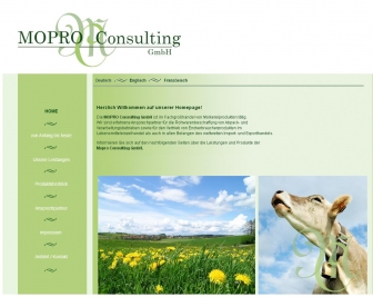 http://mopro-consulting.de