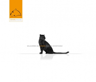 http://orange-panther.de