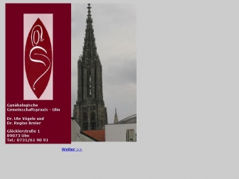 http://vbt-ulm.de